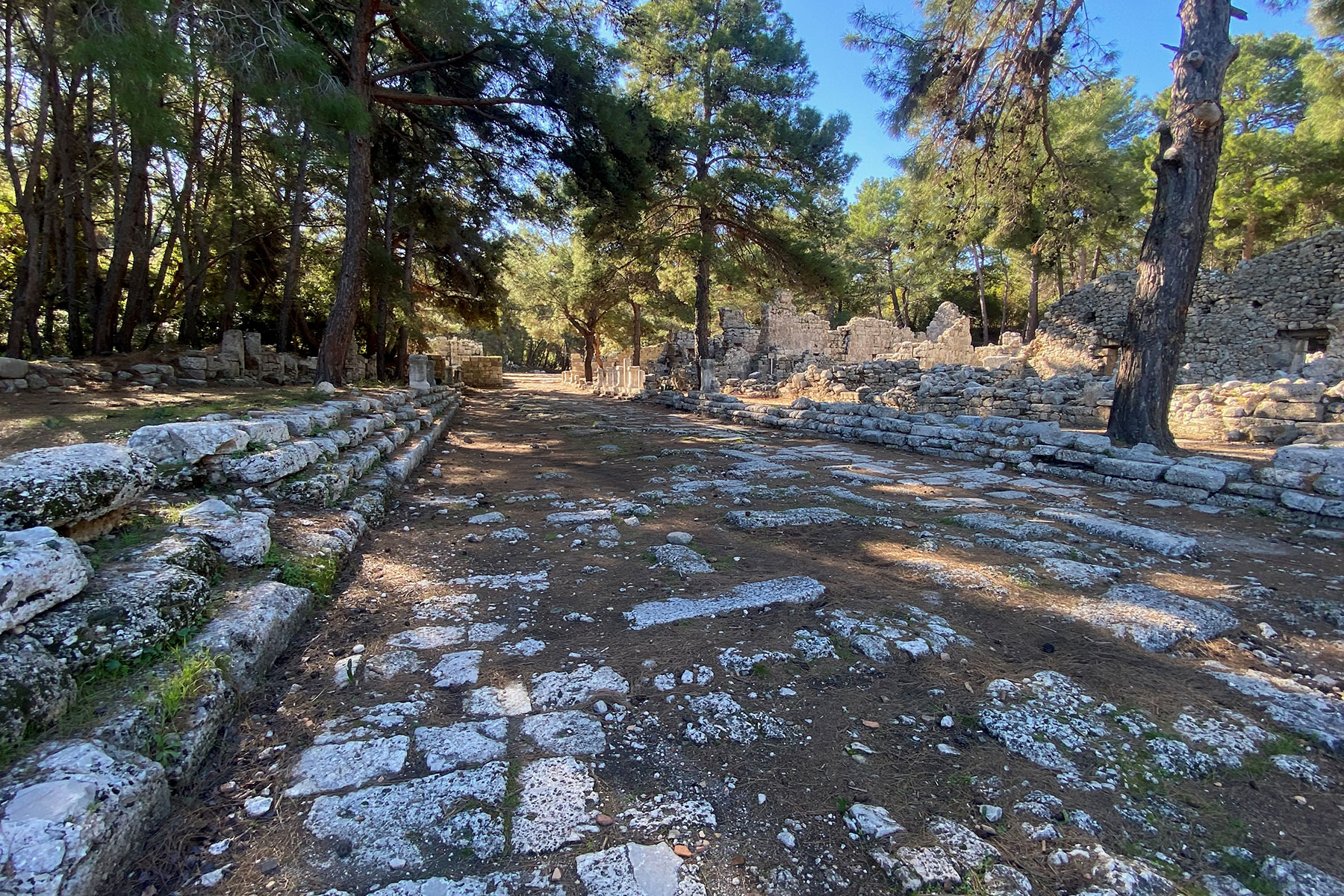 Phaselis ruins, Çamyuva